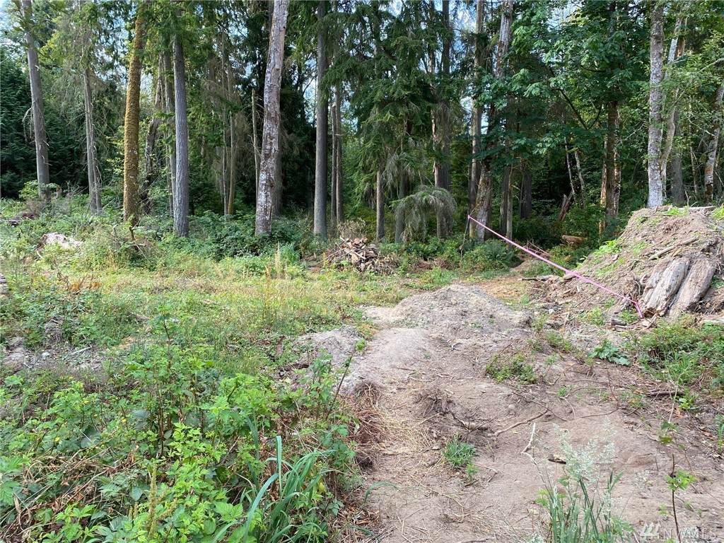 10849 Apple Tree Point Lane - Photo 1