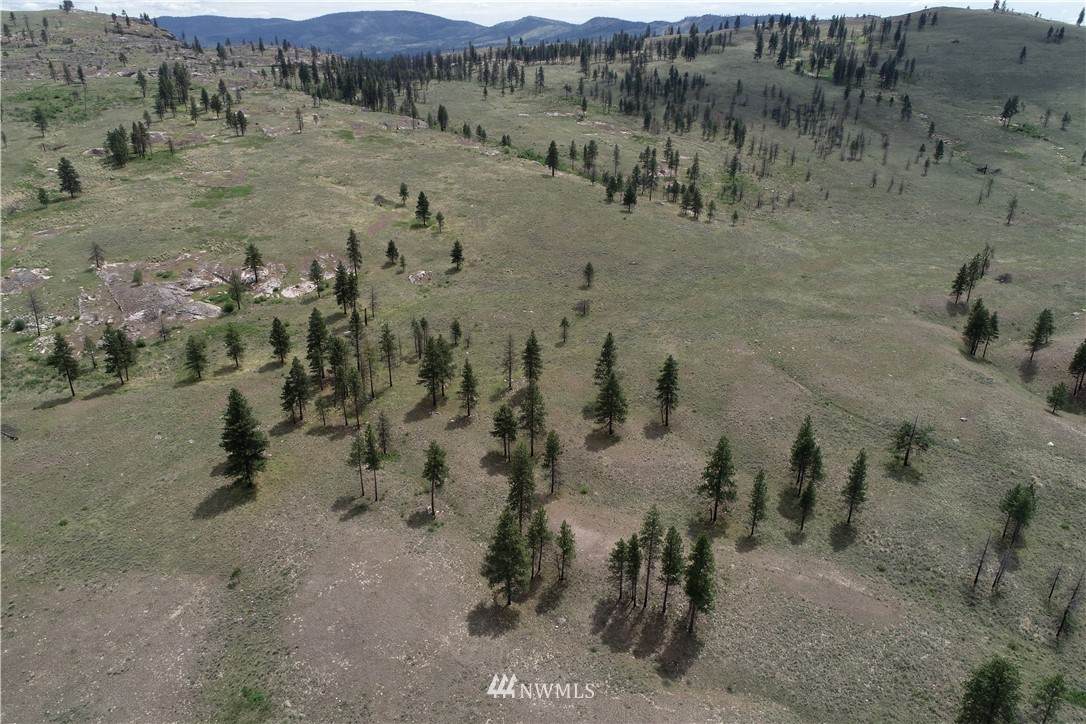 0 Omak Mountain Road - Photo 1