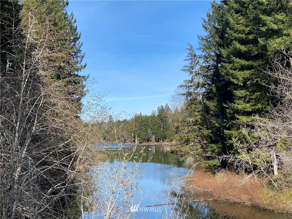 371 Dewatto Road - Photo 1