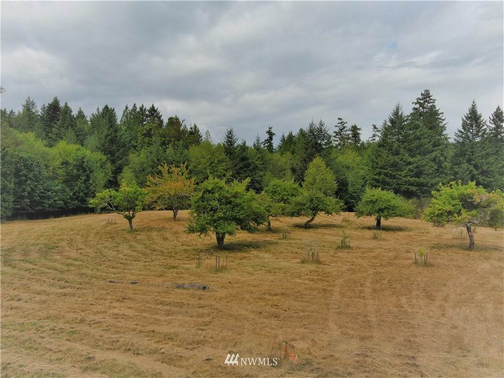 191 Borgeson Road - Photo 1