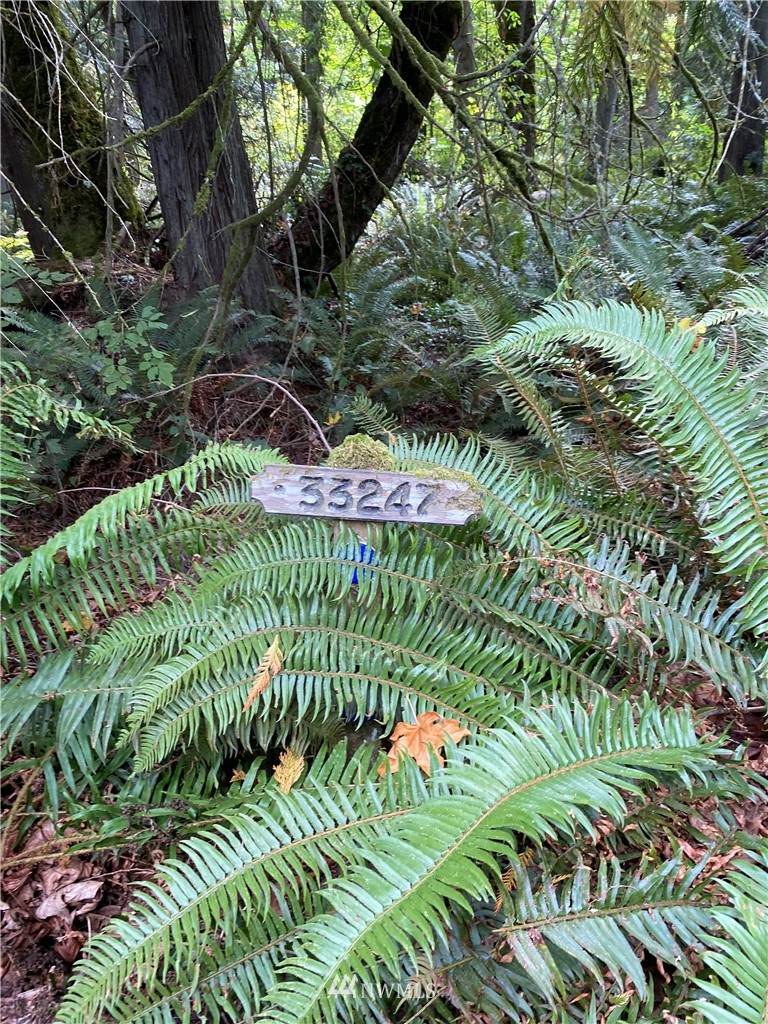 33247 Eglon Road - Photo 1