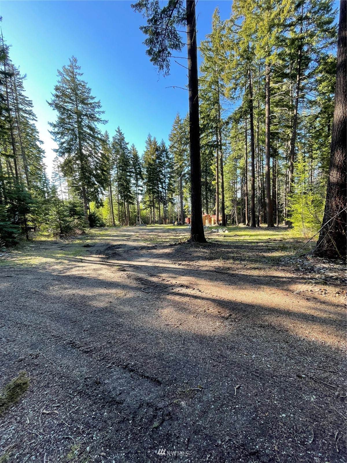 730 Tall Pines Drive - Photo 1