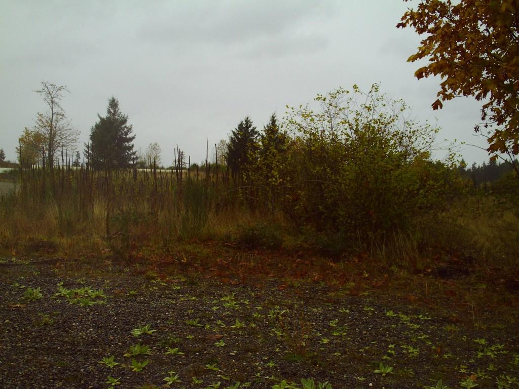 22314 Aislinn Oir Lane - Photo 1