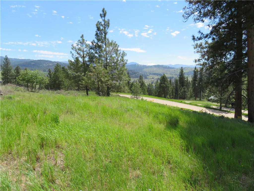 0-Lot 10 Stabenfeldt Dr - Photo 1