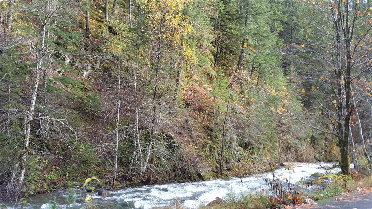 0 Us Hwy 12 - Photo 1