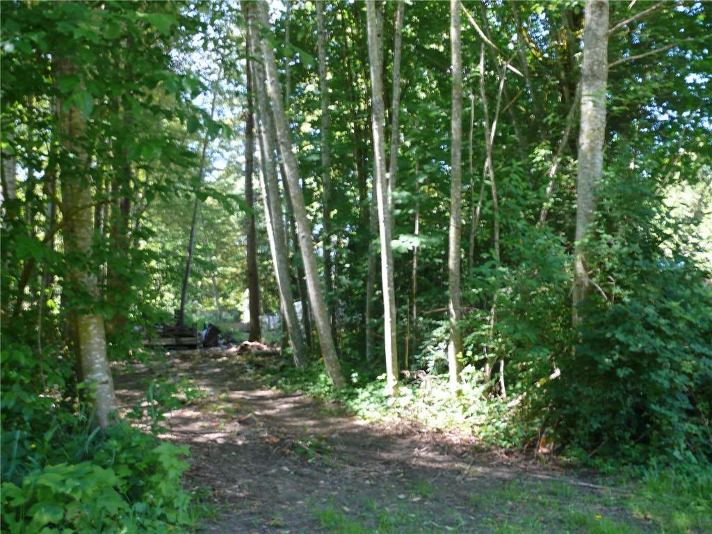 41890 Cape Horn Dr - Photo 1