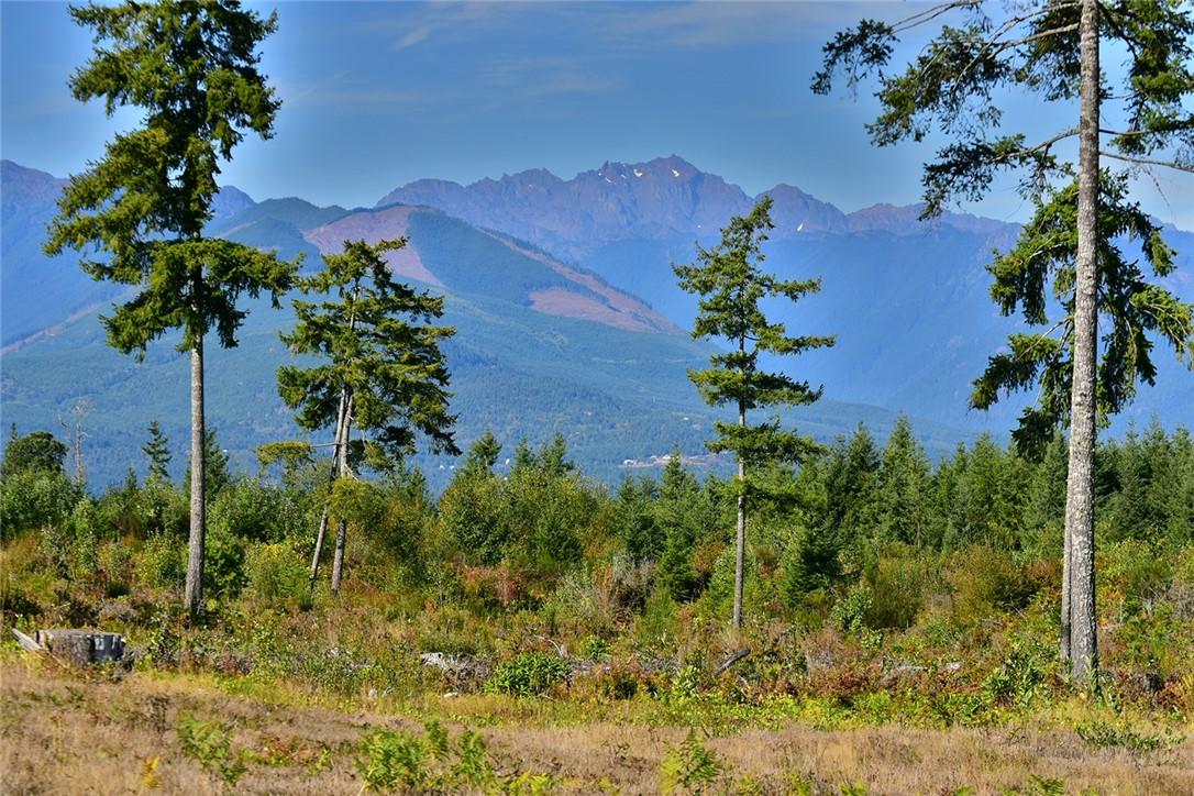 0-Lot 10 Pioneer Rd - Photo 1