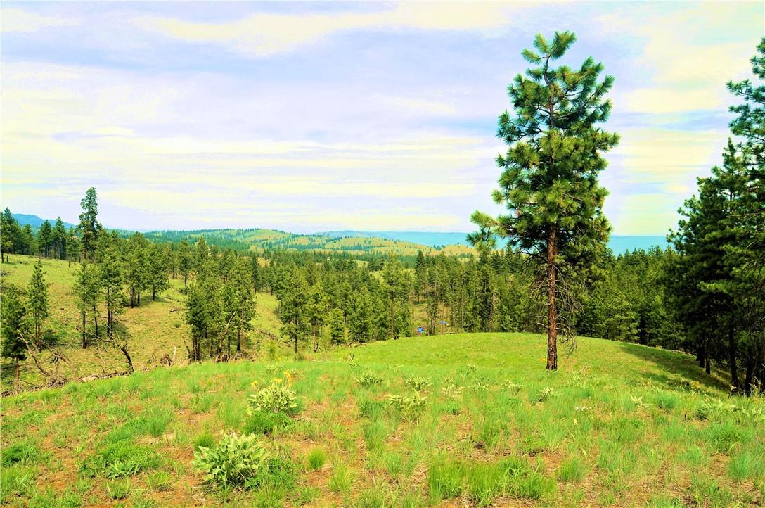 0 Cottontail Lane - Photo 1