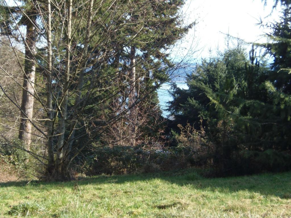 0-Lot 5 Silver Crest Ct - Photo 1