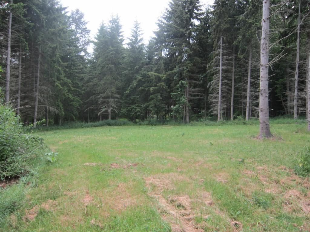 0-002 King Salmon Ct - Photo 1