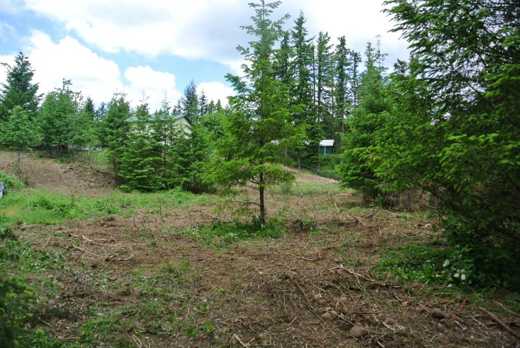 219-XX 279th Lane - Photo 1