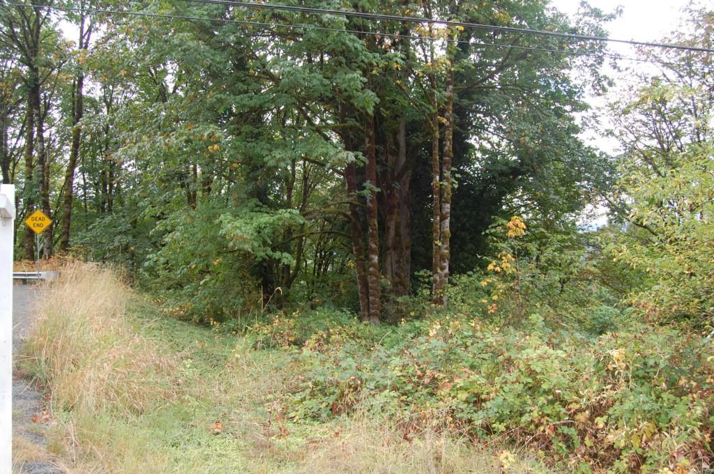 1 Merwin Village Rd - Photo 1