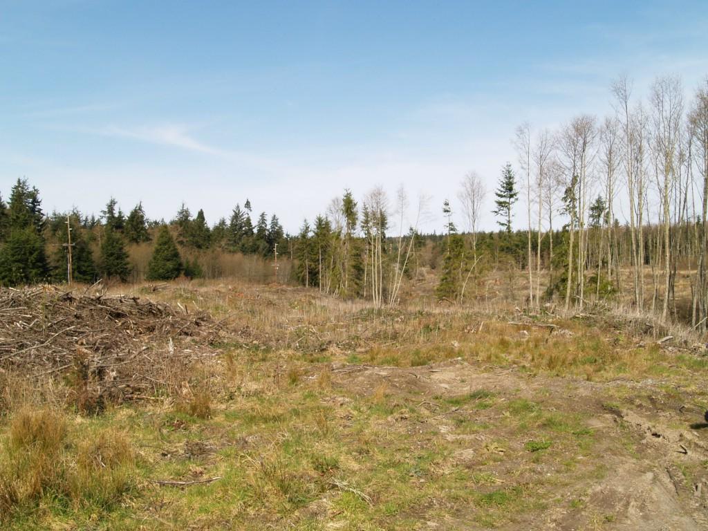 0 Sr 525 - Photo 1
