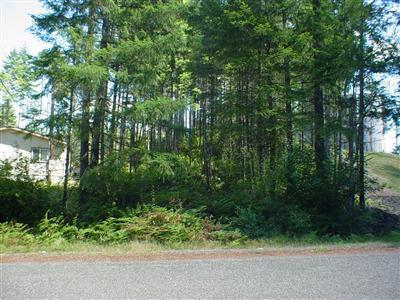 170 Dalkeith Rd - Photo 1