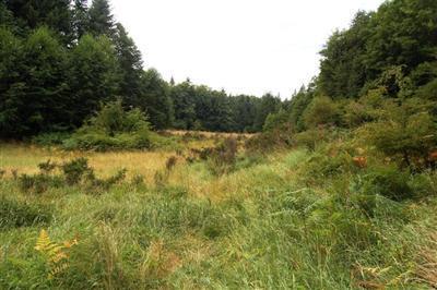 2715 Jorgenson Rd - Photo 1