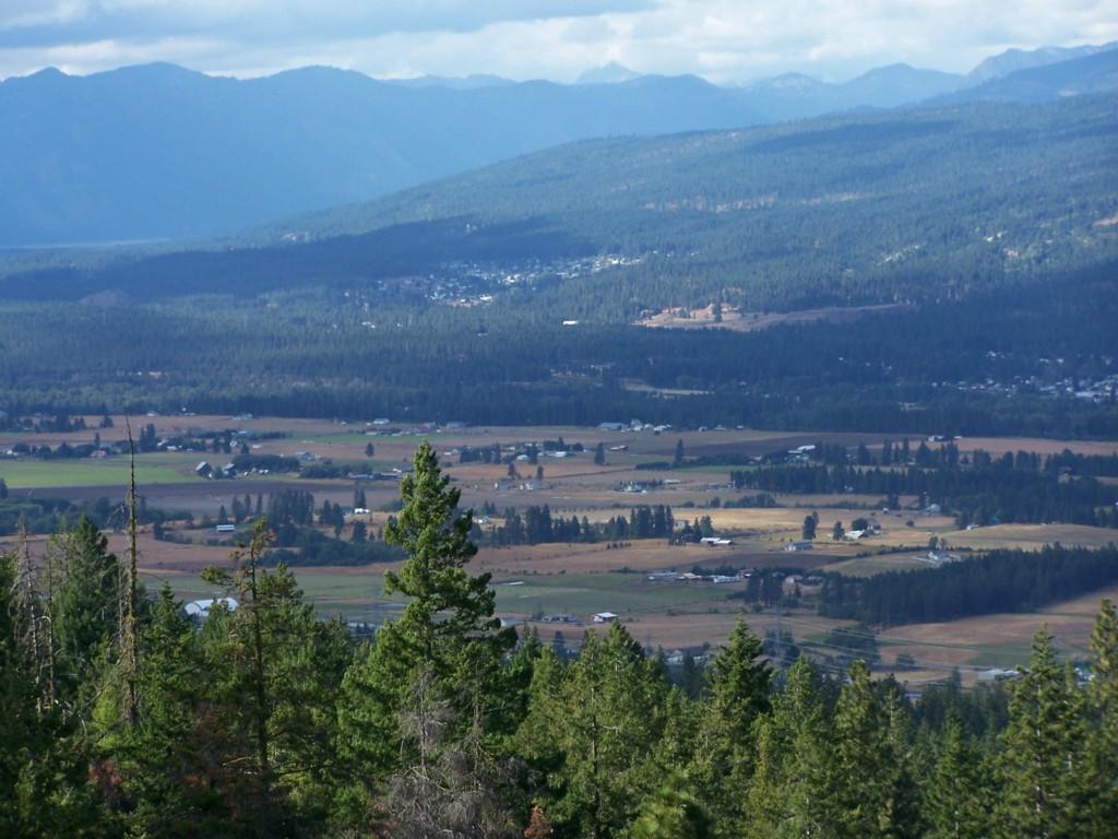 0-Lot 43 Two Springs Rd - Photo 1