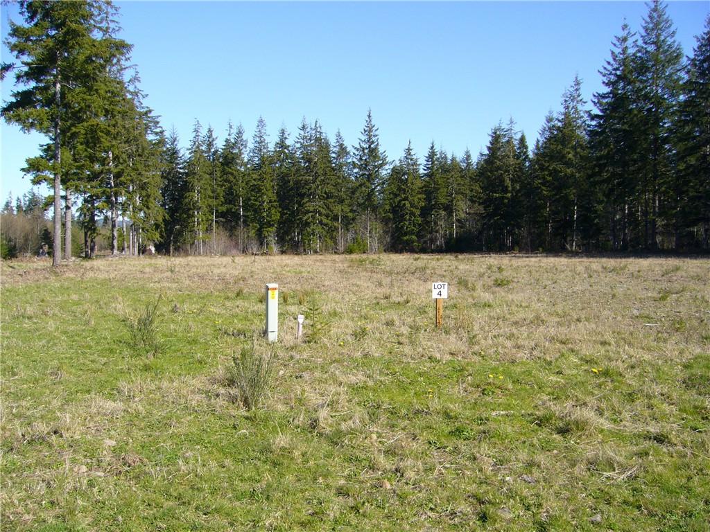 4 Big Pine Wy - Photo 1