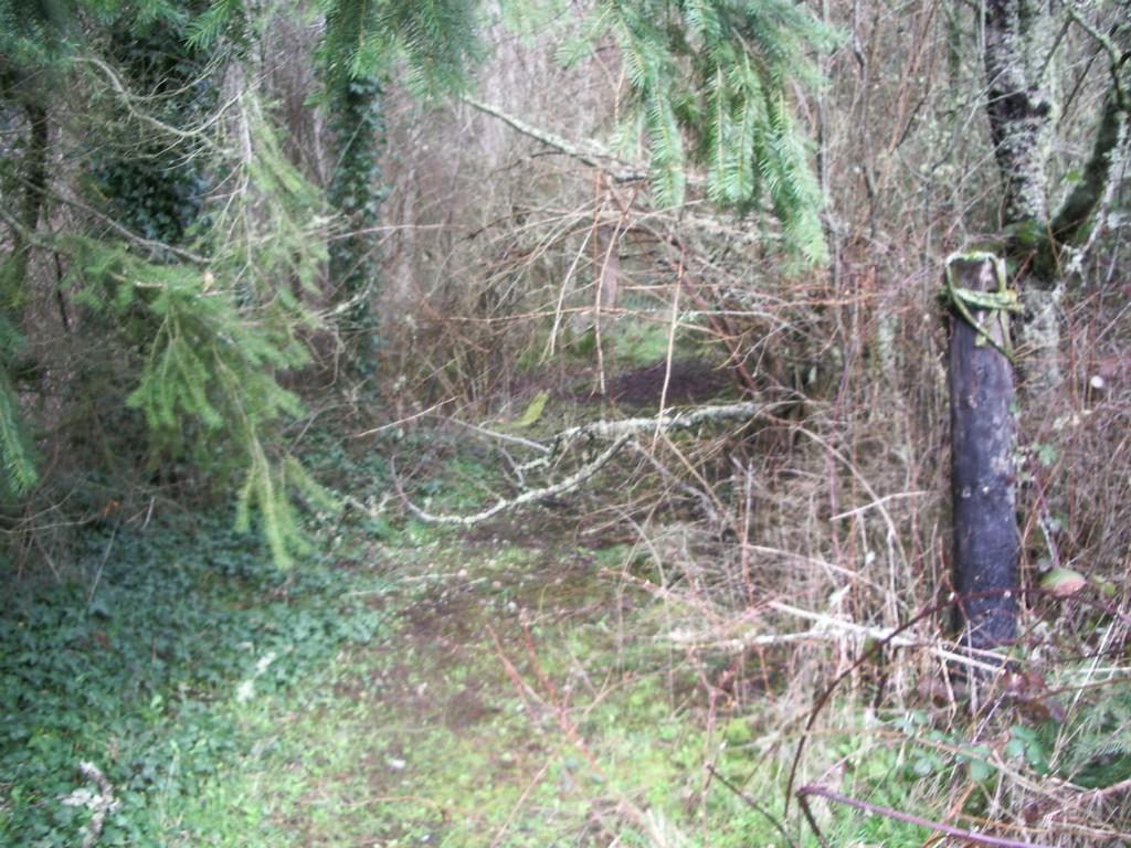 0 Lopeman Rd - Photo 1