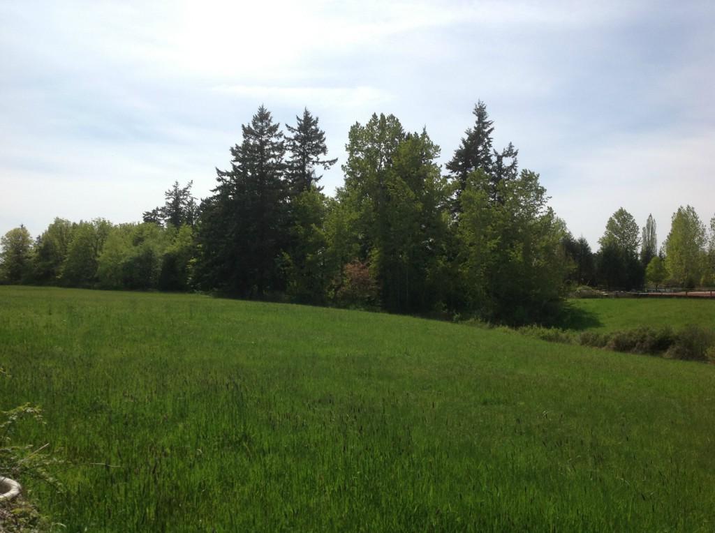 945 Bakerview Rd - Photo 1
