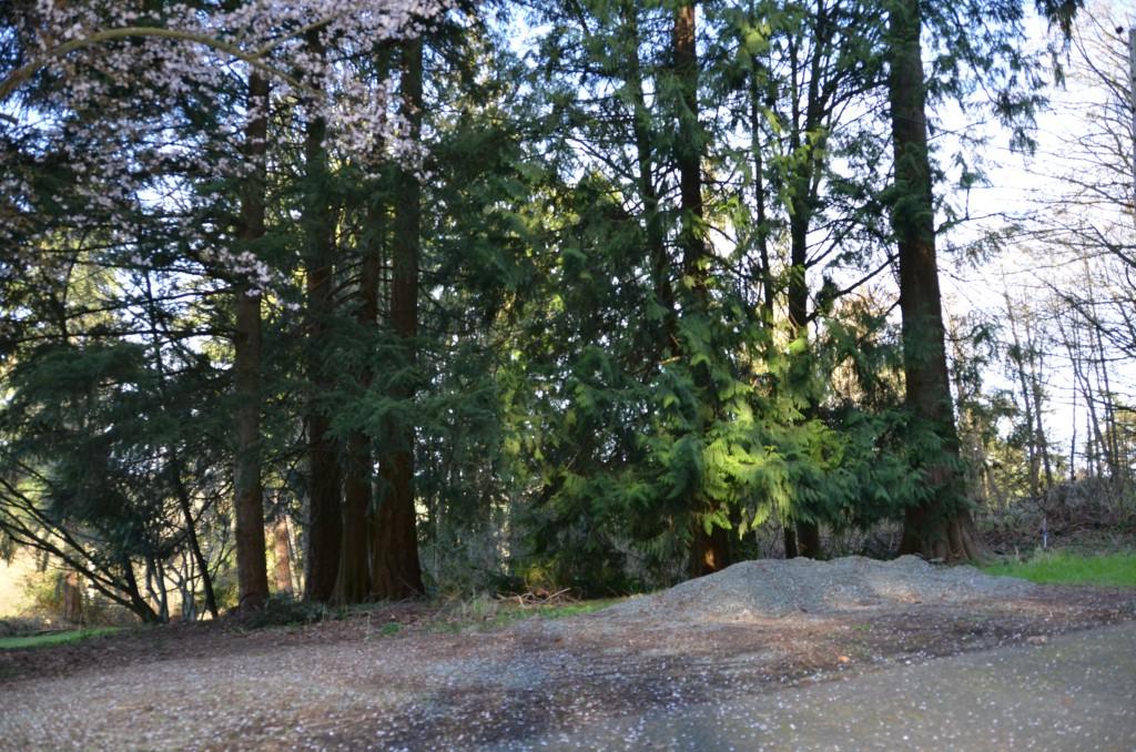 0 81st Ave - Photo 1