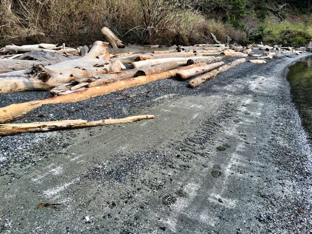 0 White Beach Rd - Photo 1