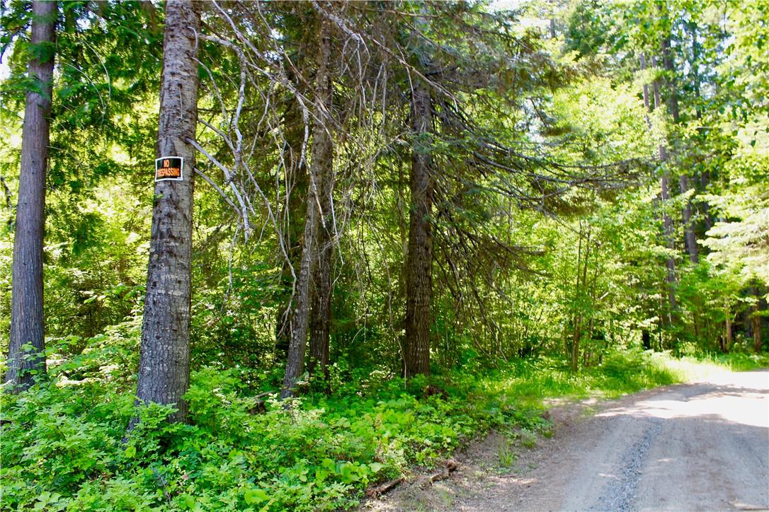 1-LOT 1 Spring Creek Rd - Photo 1