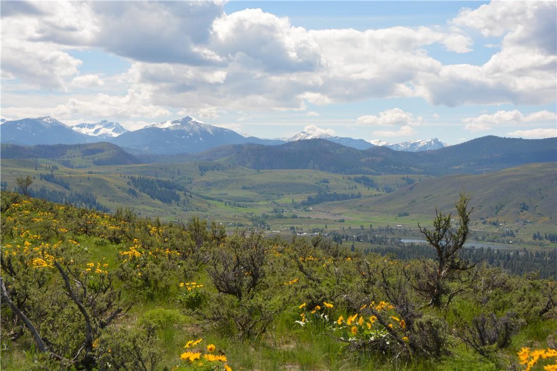 238-C Stud Horse Mountain Rd - Photo 1