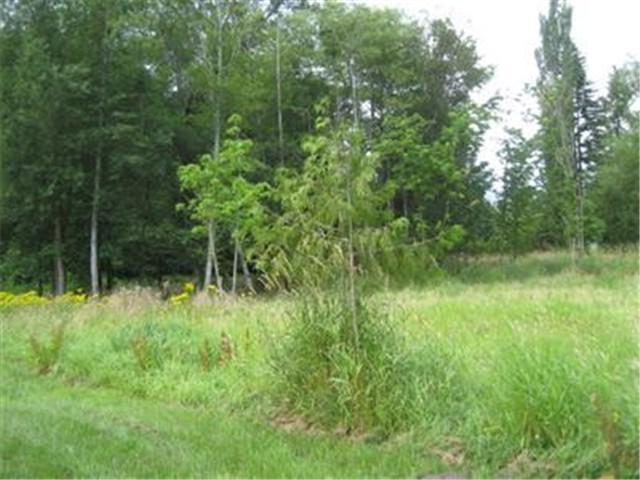 0-Lot A Sr3 - Photo 1