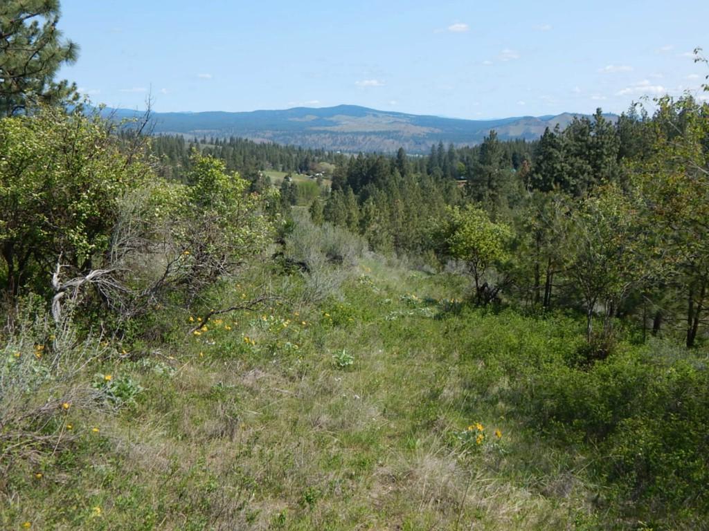 36540 Hart Rd - Photo 1