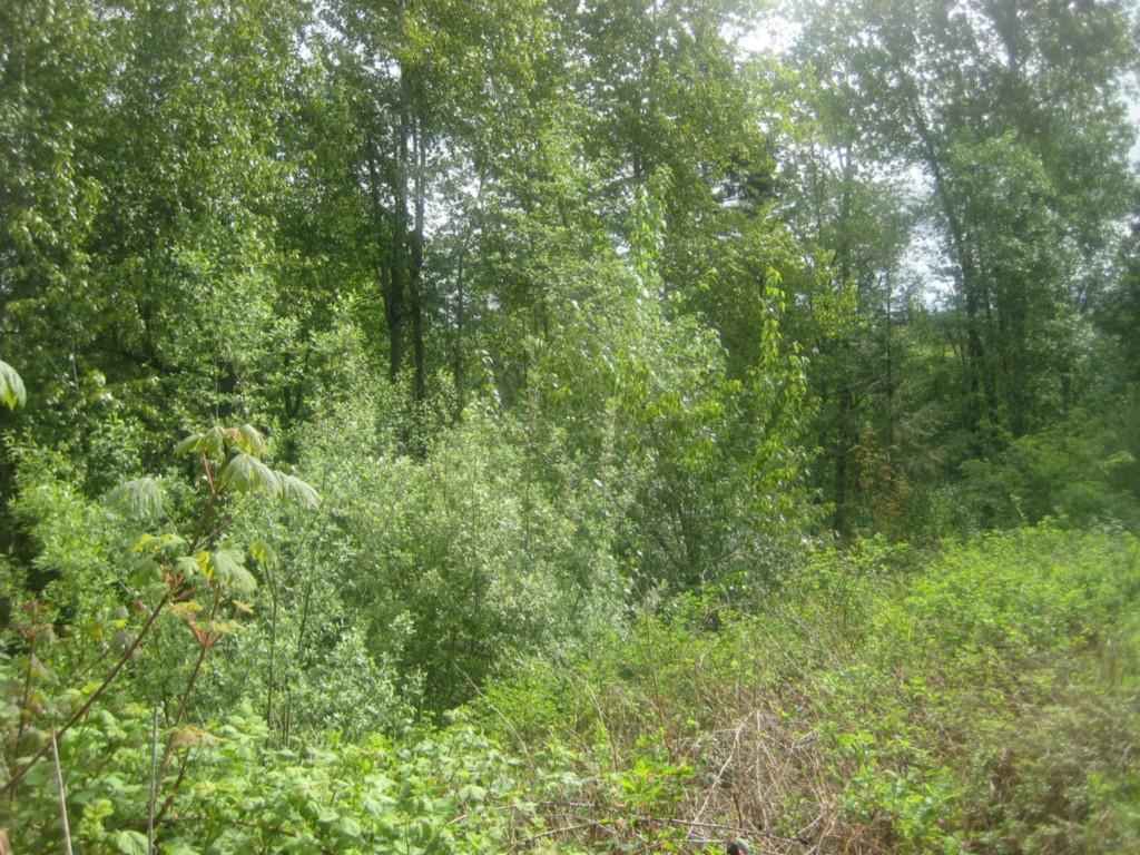 0-185xx 140th Ave - Photo 1