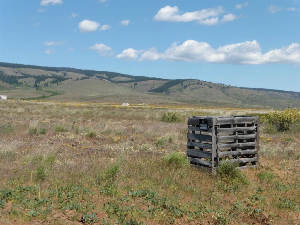 0-XX Flying Rock Rd - Photo 1