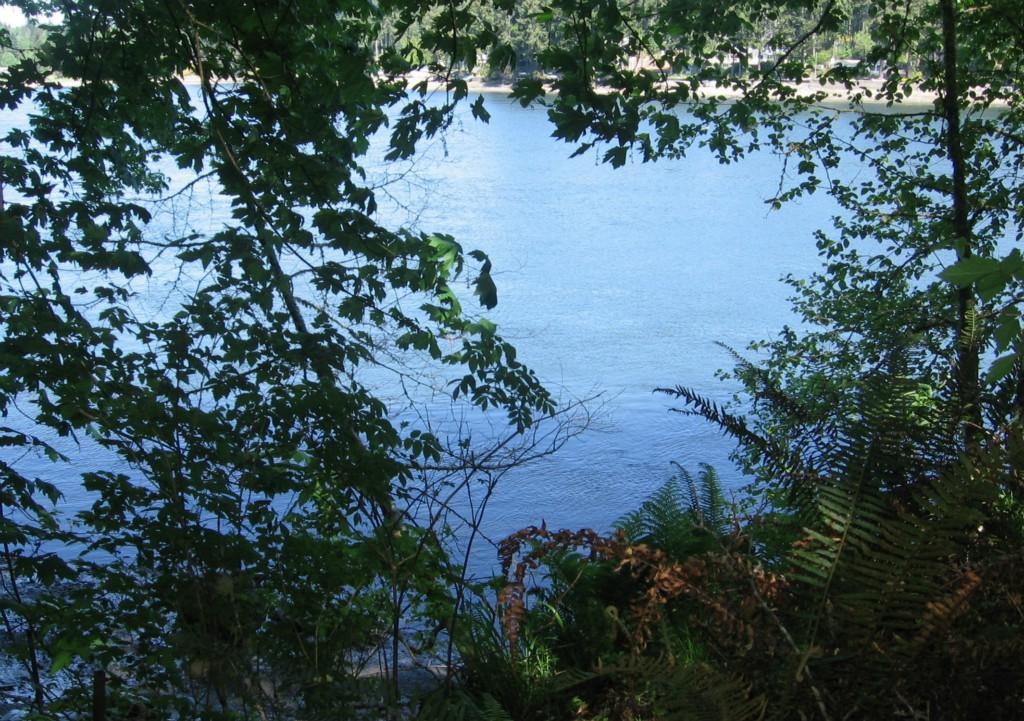 0 Channel Point Rd - Photo 1