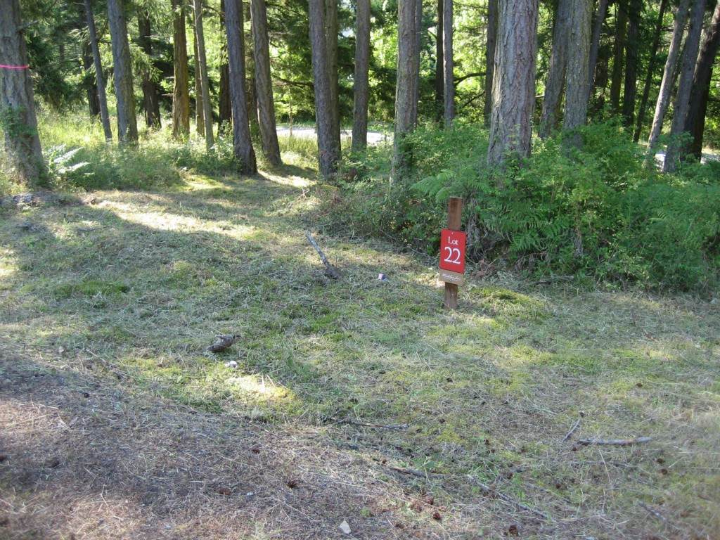 22 Mossyrock Rd - Photo 1 22 Mossyrock Rd - Photo 1