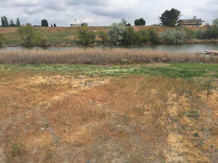 2831 Wild Goose Rd - Photo 1