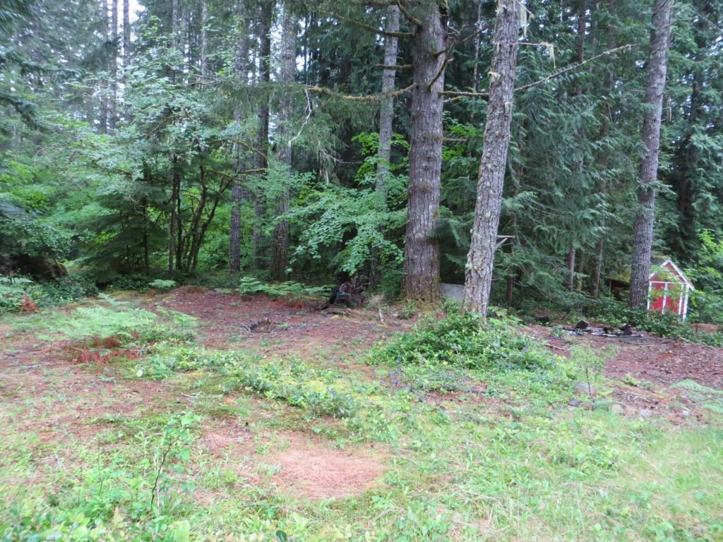 430 Potlatch Dr - Photo 1