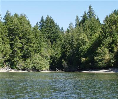 561 Passage View Rd. Rd - Photo 1