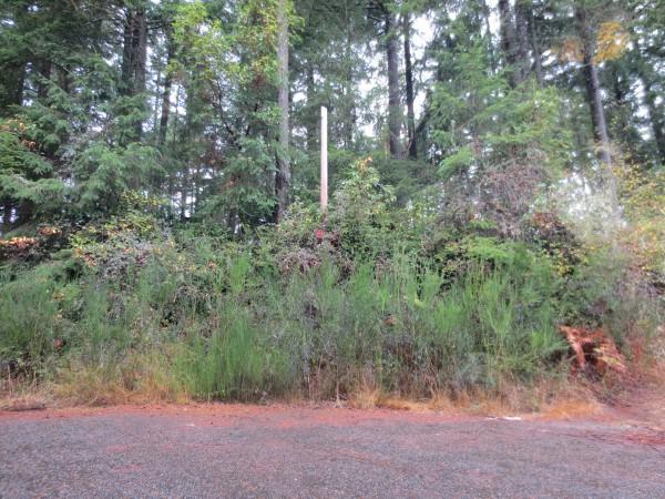 19515 26th St Ct - Photo 1