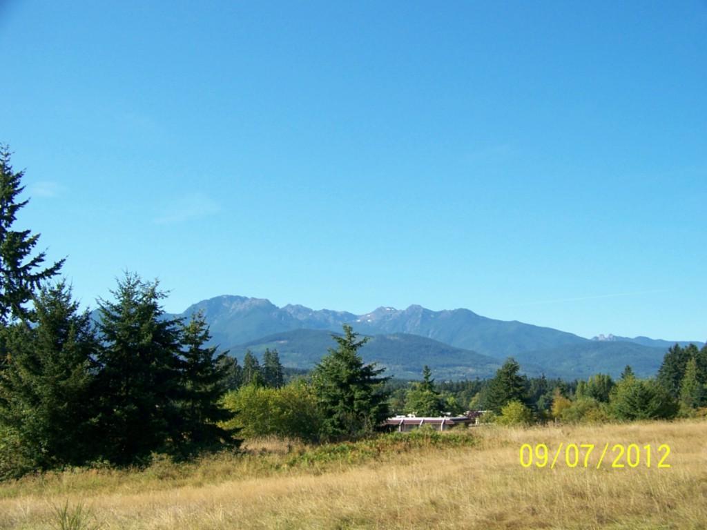 2-Lot Blackberry Lane - Photo 1
