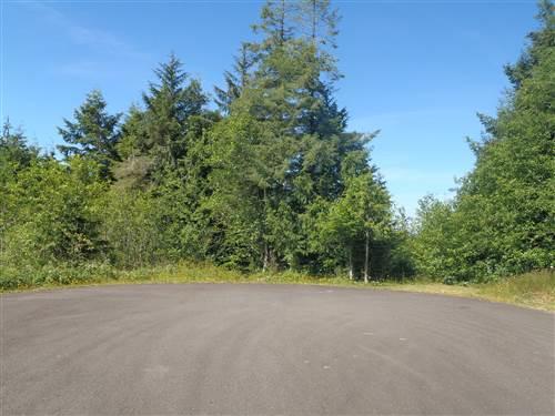 30 Spruce Court Lane - Photo 1