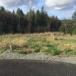24026 Dolphin Lane - Photo 1