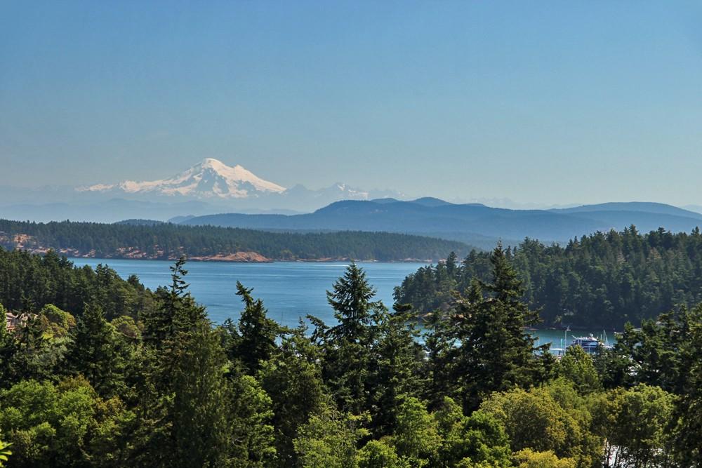 1036 Harbor View Place - Photo 1