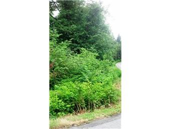 15-lot 161st Ave - Photo 1