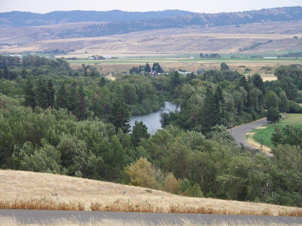 461 Deer Valley Rd - Photo 1