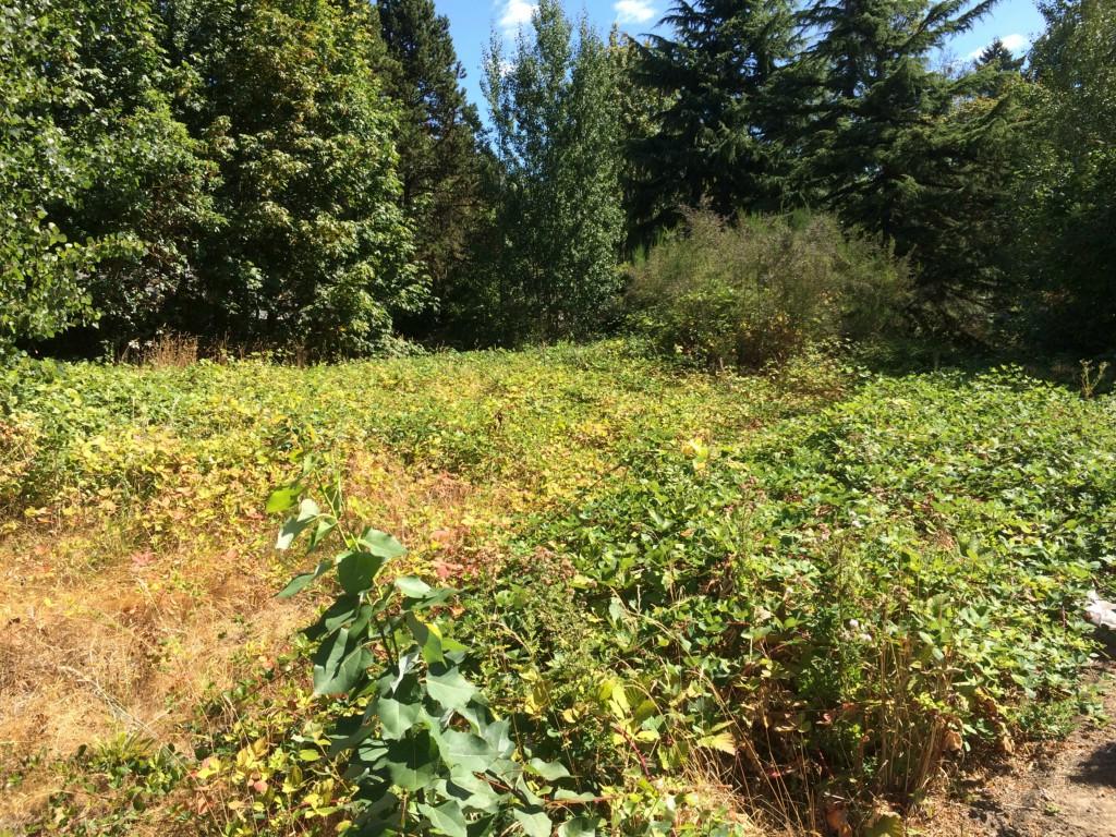 204 Lilly Rd - Photo 1