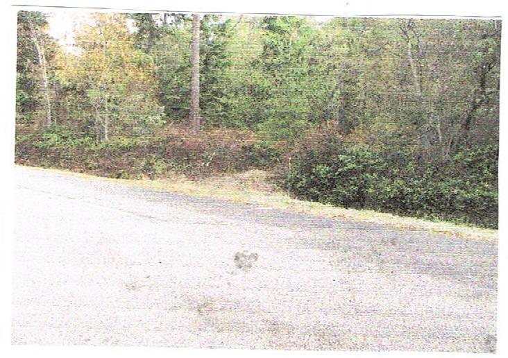 552 Griffiths Point Rd - Photo 1