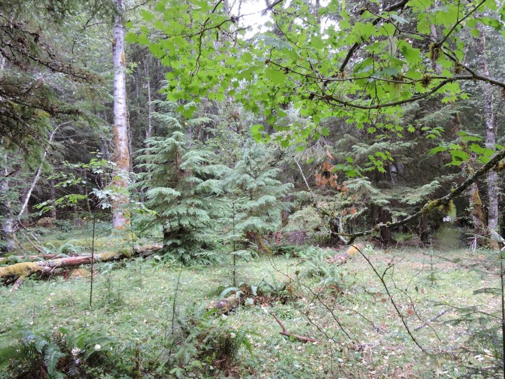 17226 Mountainside Dr - Photo 1
