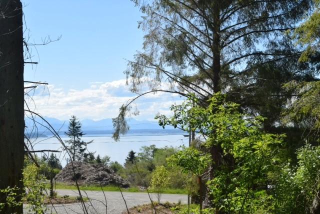 306 Donahey Rd - Photo 1