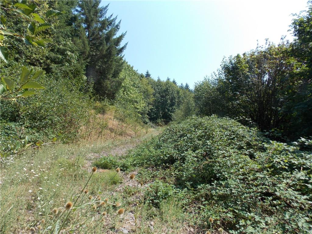319 Hillsdale Dr - Photo 1