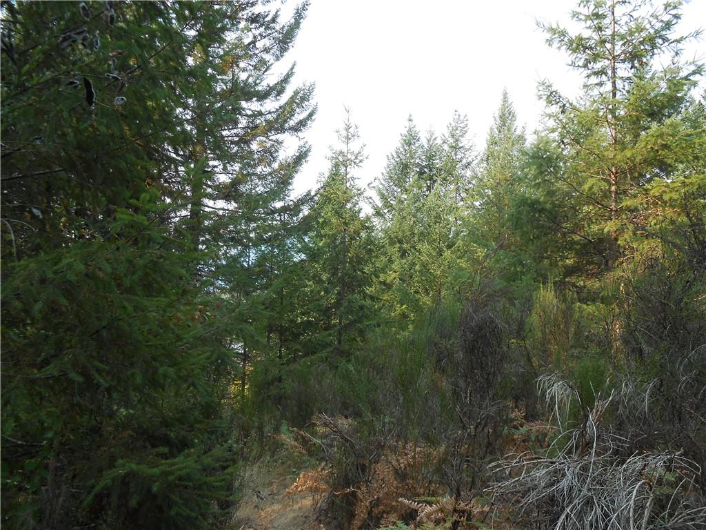 0-Lot 4 Alpine Dr - Photo 1