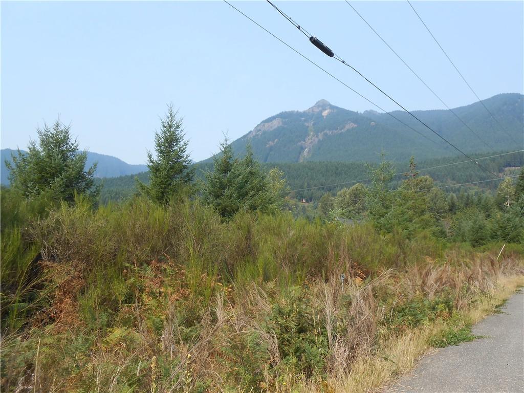 0-Lot 23 Jack Fir Ct - Photo 1